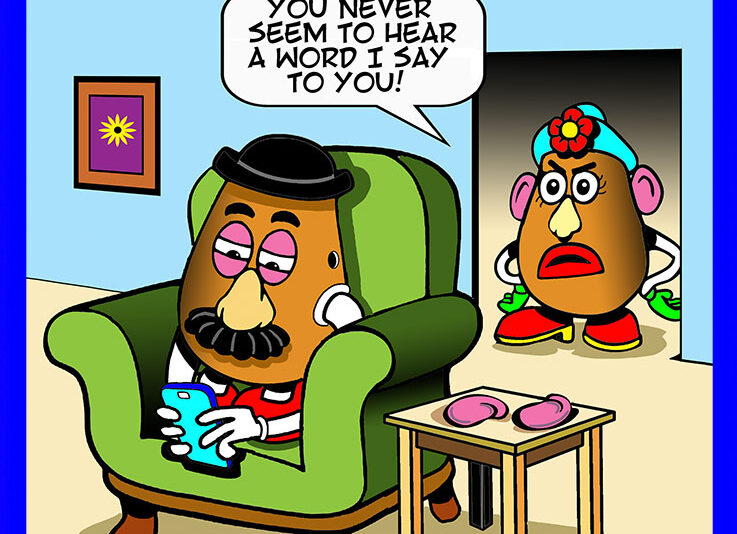 Mister and missus potato head