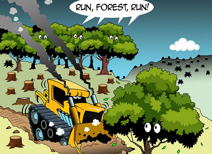 Deforestation cartoon