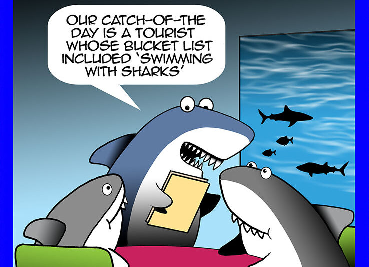 Sharks cartoon
