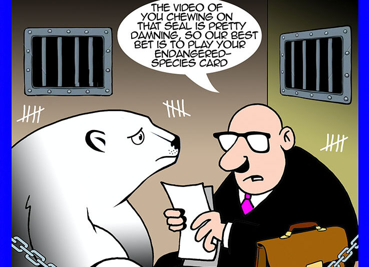 Polar opposites cartoon