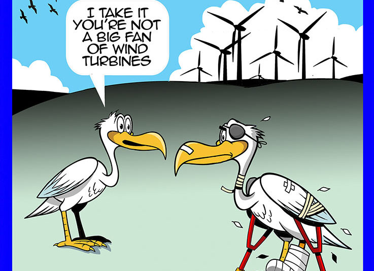 Wind farm cartoon