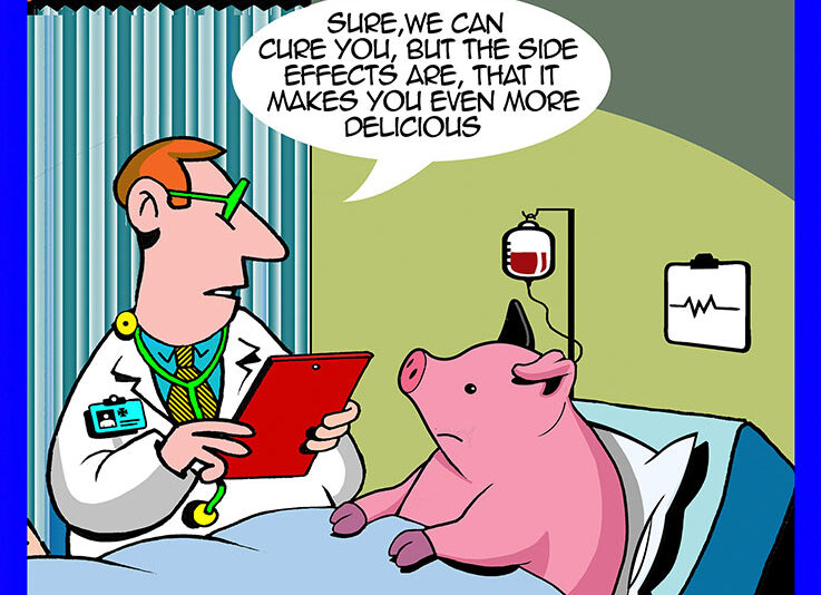 Pigs organs cartoon
