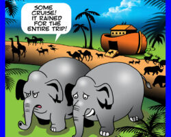 Ark cartoon