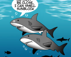 Shark attack cartoon