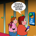 Privacy setting cartoon