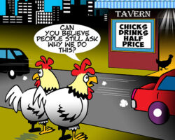 Chicks cartoon