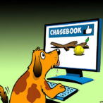 Dog chasing tennis ball cartoon