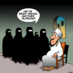 More than one wife cartoon