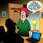Tweety bird