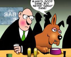 Complaining about wife cartoon