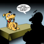 Theory cartoon