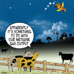 Cow over the moon cartoon