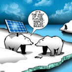 Polar bear cartoon