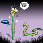 Snakes cartoon