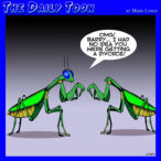 Divorce cartoon