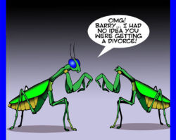 Praying Mantis cartoon