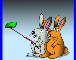 Rabbits cartoon