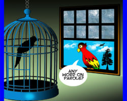 Jail cartoon