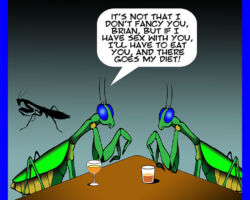 Mating cartoon