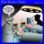 Pig cartoon