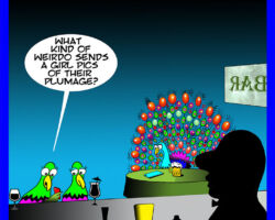 Dick pics cartoon