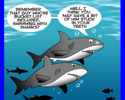 Shark attack cartoon
