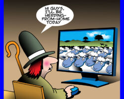 Sheep herder cartoon