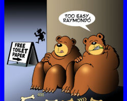 Bears cartoon