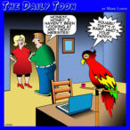 Parrot cartoon