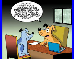Salary package cartoon