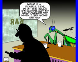 Preying Mantis cartoon