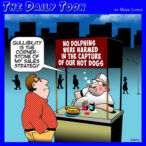 Dolphins cartoon