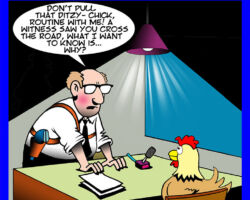 Why did the chicken cross the road? cartoon