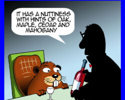 connoisseur cartoon