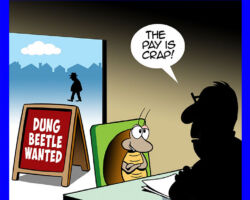 Dung Beetles cartoon