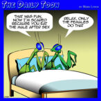 Mantis cartoon
