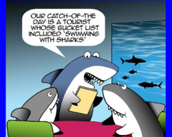 Sharks cartoon