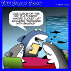 Sharks cartoon
