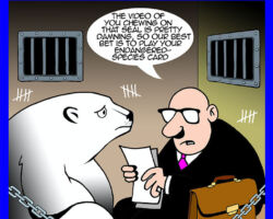 Polar opposites cartoon
