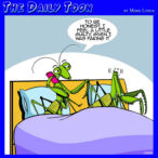 Fake orgasm cartoon