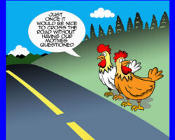 Why did the chicken cross the road? Cartoon