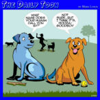 Dog names cartoon