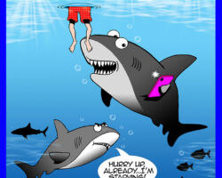 Shark frenzy cartoon