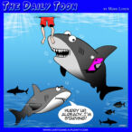 Shark frenzy cartoon