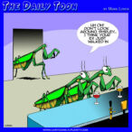 Mantis cartoon