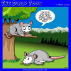 Possums cartoon