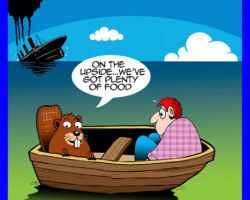 Shipwrecked cartoon