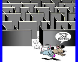 mice in a maze cartoon
