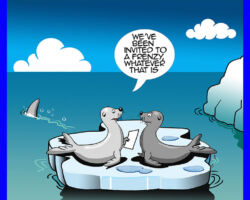 Sharks cartoon