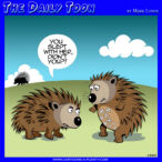 Porcupine sex cartoon